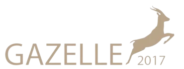 Børsen Gazelle 2017, Elektriker-Elektriker er kåret som gazellevirksomhed